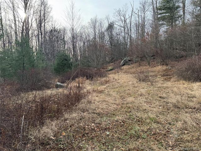Hilltop Road, Monticello, NY 12701