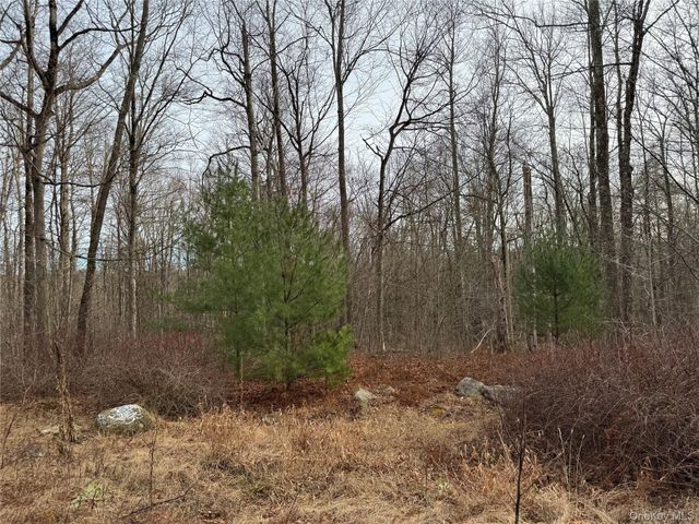 Hilltop Road, Monticello, NY 12701
