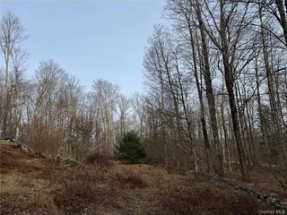 Hilltop Road, Monticello, NY 12701