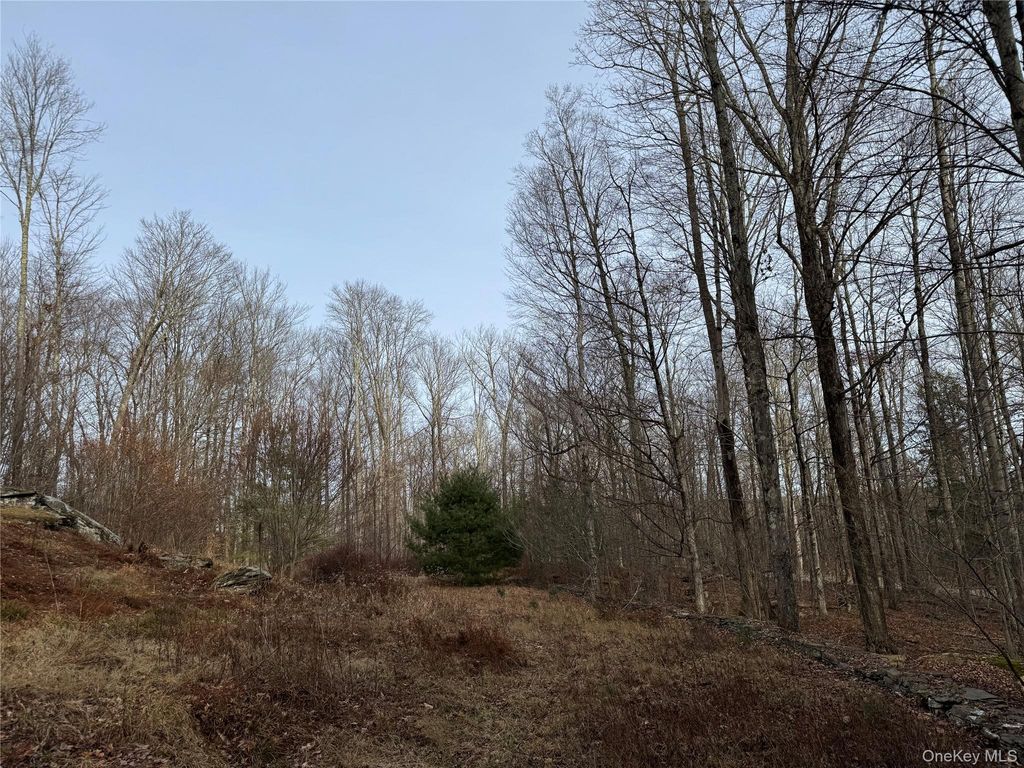 Hilltop Road, Monticello, NY 12701