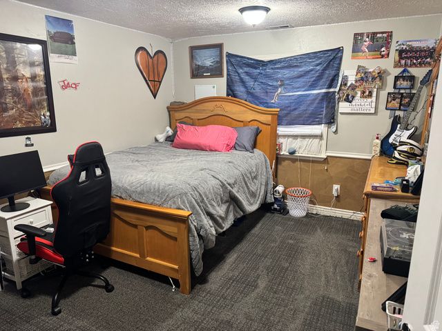 338 E 960 S, Salem, UT 84653