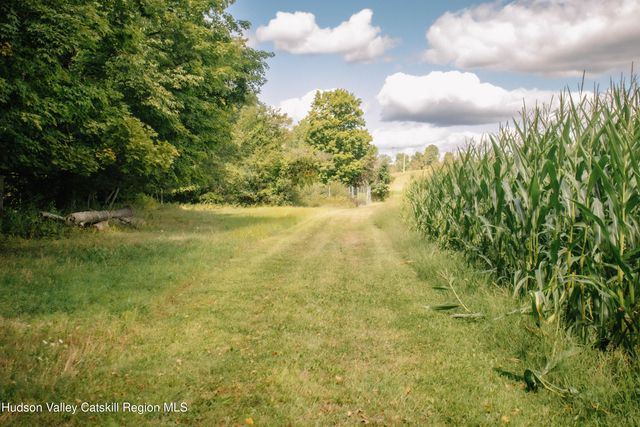 0 Copake Lake Road, Copake Lake, NY 12521