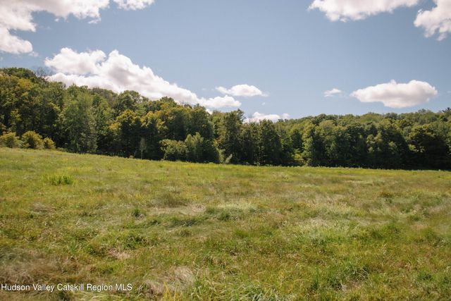 0 Copake Lake Road, Copake Lake, NY 12521