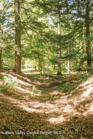 0 Copake Lake Road, Copake Lake, NY 12521