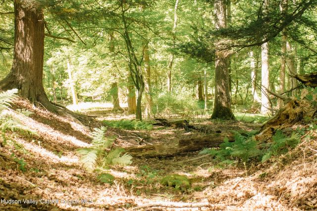 0 Copake Lake Road, Copake Lake, NY 12521