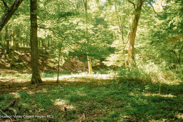 0 Copake Lake Road, Copake Lake, NY 12521