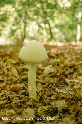 0 Copake Lake Road, Copake Lake, NY 12521