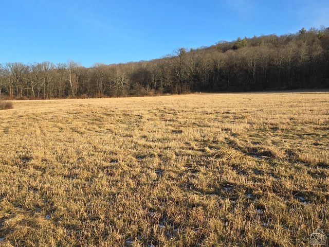 0 Copake Lake Road, Copake Lake, NY 12521