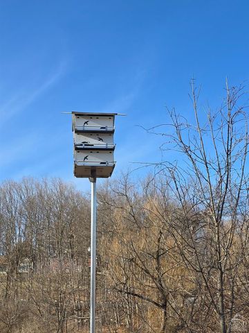 0 Copake Lake Road, Copake Lake, NY 12521