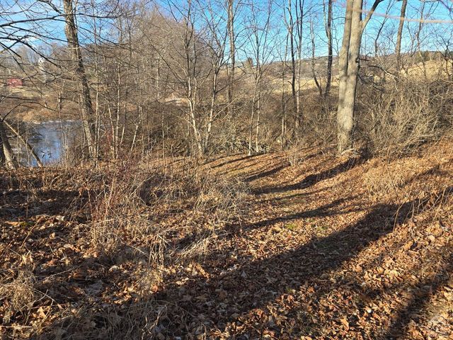 0 Copake Lake Road, Copake Lake, NY 12521