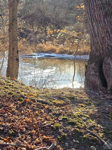 0 Copake Lake Road, Copake Lake, NY 12521