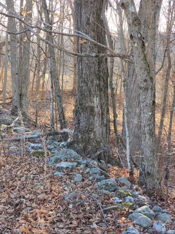 0 Copake Lake Road, Copake Lake, NY 12521