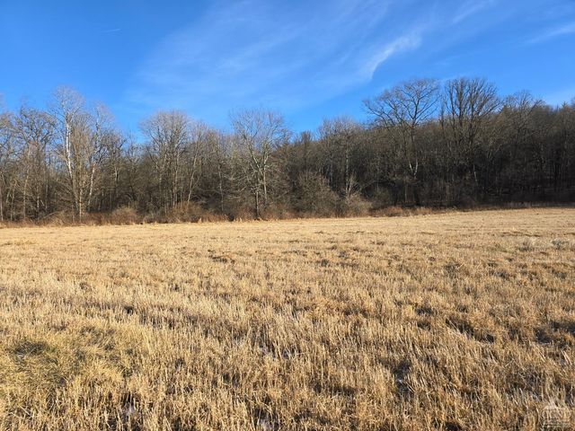 0 Copake Lake Road, Copake Lake, NY 12521