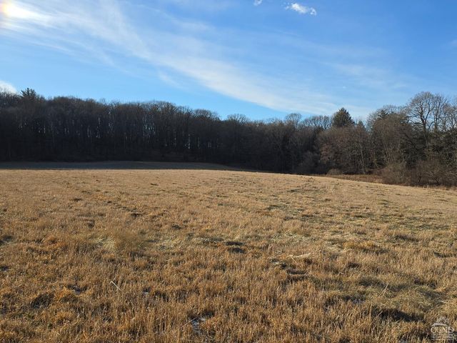 0 Copake Lake Road, Copake Lake, NY 12521