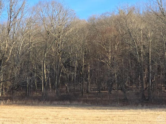 0 Copake Lake Road, Copake Lake, NY 12521
