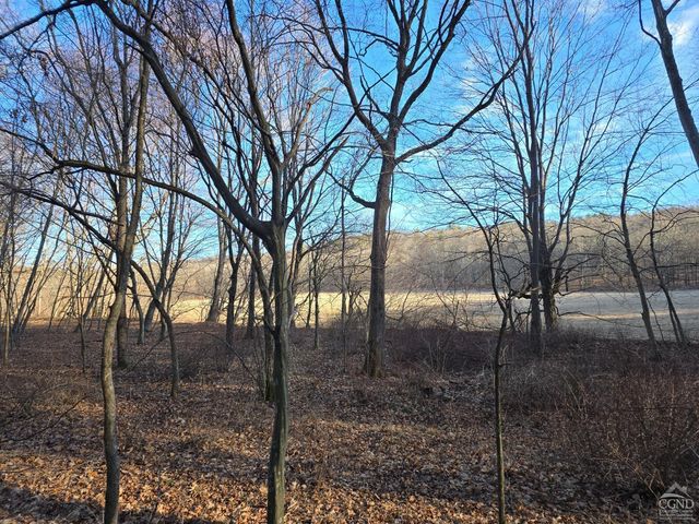0 Copake Lake Road, Copake Lake, NY 12521