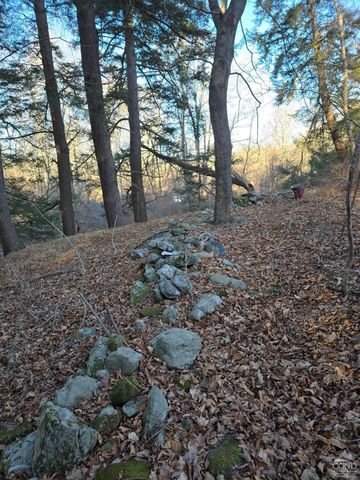 0 Copake Lake Road, Copake Lake, NY 12521