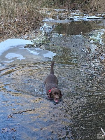 0 Copake Lake Road, Copake Lake, NY 12521