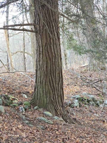 0 Copake Lake Road, Copake Lake, NY 12521