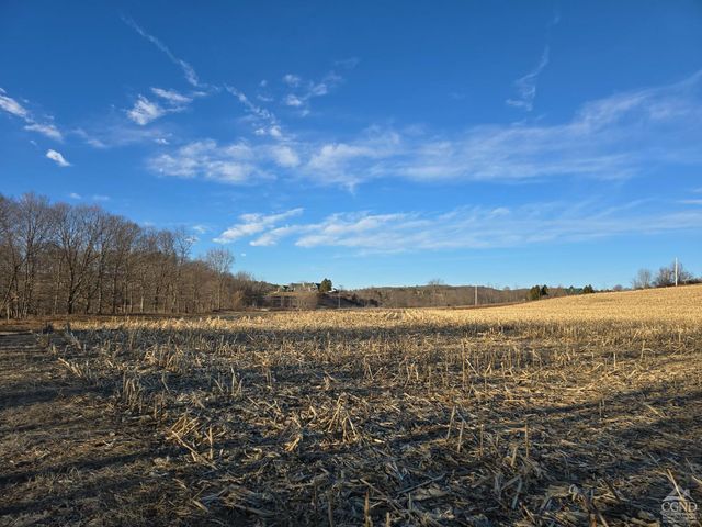 0 Copake Lake Road, Copake Lake, NY 12521