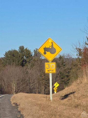 0 Copake Lake Road, Copake Lake, NY 12521