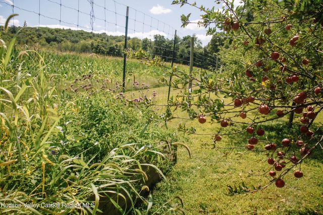 0 Copake Lake Road, Copake Lake, NY 12521