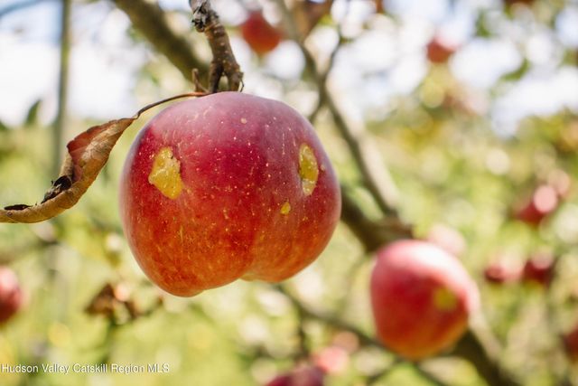 0 Copake Lake Road, Copake Lake, NY 12521