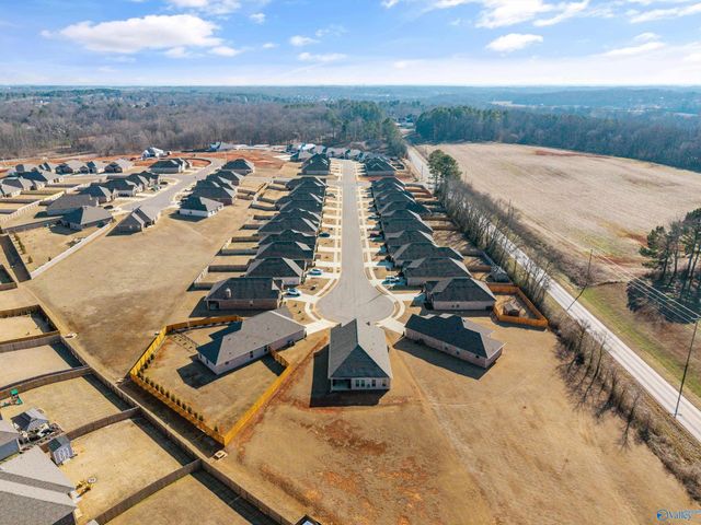 15776 Mizewell Lane, Harvest, AL 35749