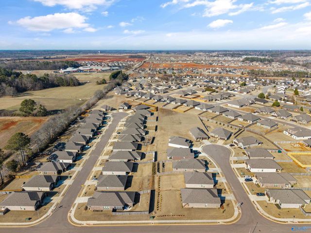 15776 Mizewell Lane, Harvest, AL 35749