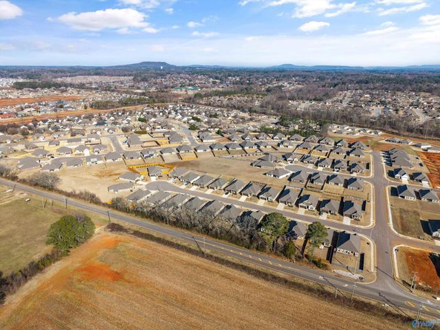 15776 Mizewell Lane, Harvest, AL 35749