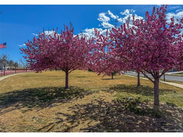 3807 Emerald Shore Cir, Loveland, CO 80538