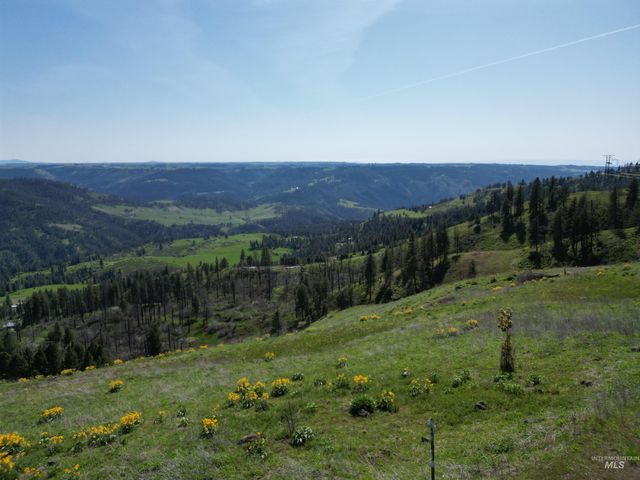 444 Vista View Drive, Lenore, ID 83541