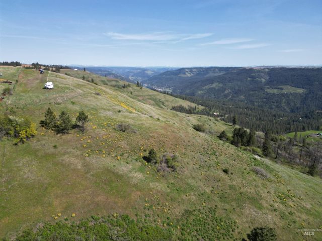 444 Vista View Drive, Lenore, ID 83541