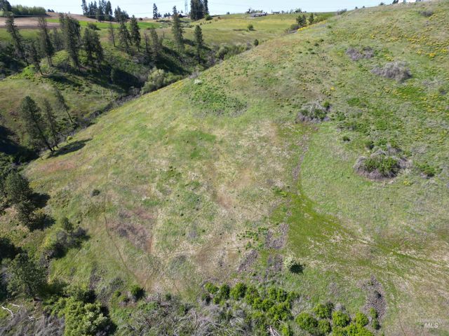 444 Vista View Drive, Lenore, ID 83541