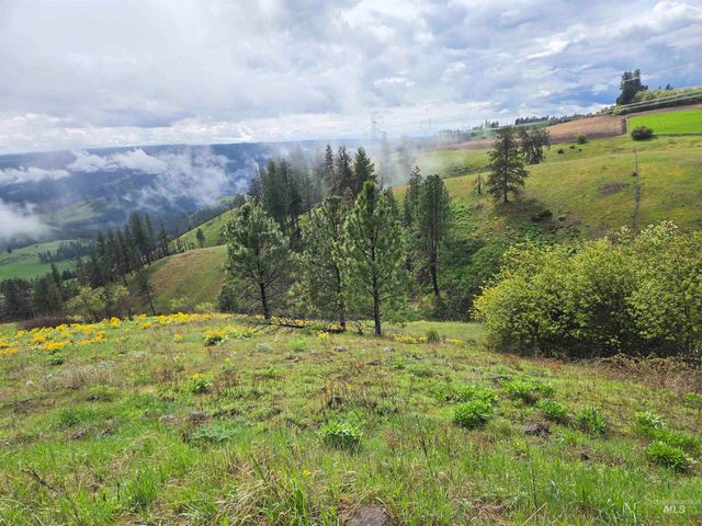 444 Vista View Drive, Lenore, ID 83541