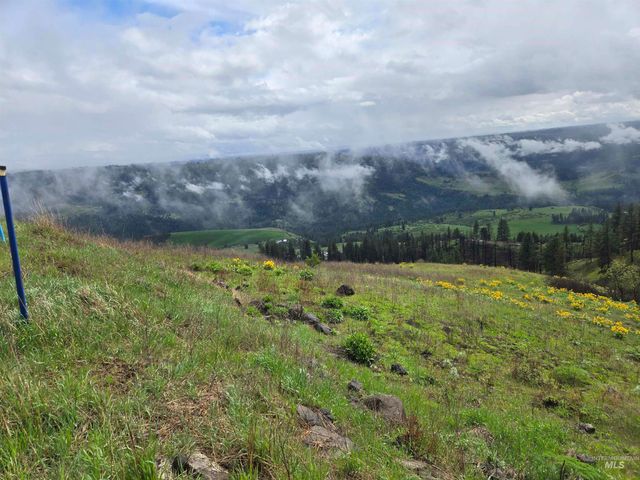 444 Vista View Drive, Lenore, ID 83541