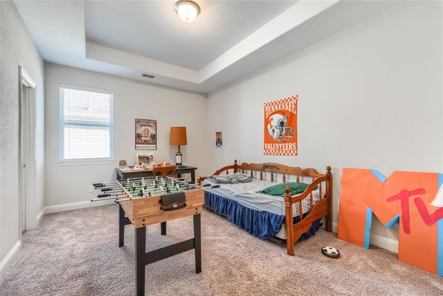 13298 Affirmed Avenue, Frisco, TX 75035
