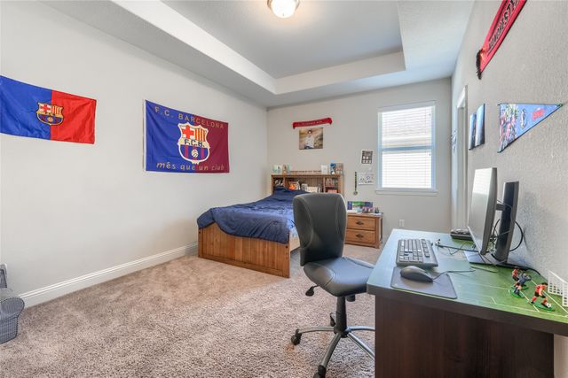 13298 Affirmed Avenue, Frisco, TX 75035