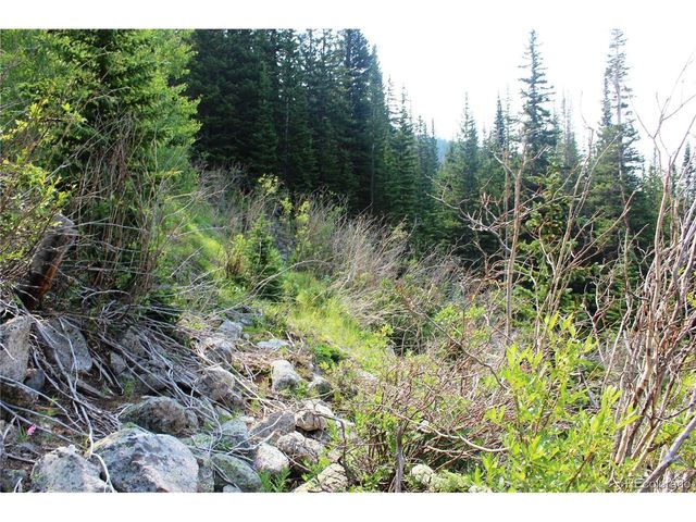 1 Miners Rd, Idaho Springs, CO 80461