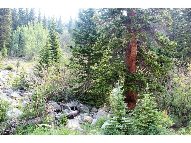1 Miners Rd, Idaho Springs, CO 80461