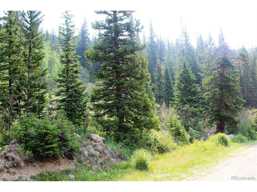 1 Miners Rd, Idaho Springs, CO 80461