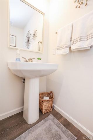 635 Maple Forest 24, Kirkwood, MO 63122