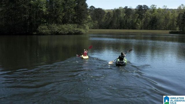 805 CAVALIER RIDGE, Birmingham, AL 35242