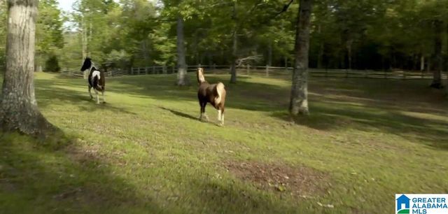 805 CAVALIER RIDGE, Birmingham, AL 35242