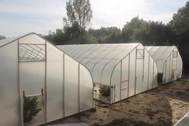 9475 Homer Road, Litchfield, MI 49252