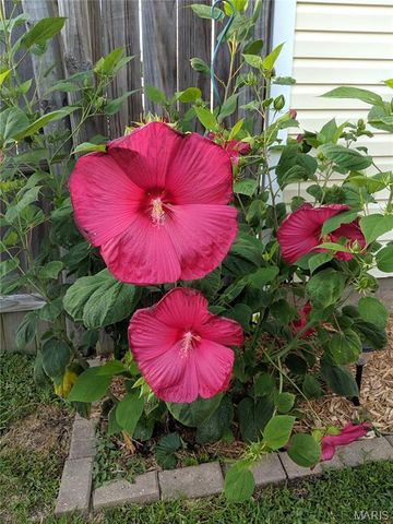 306 E Putnam Street, Mount Olive, IL 62069