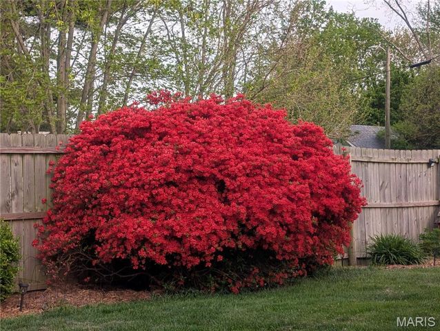 306 E Putnam Street, Mount Olive, IL 62069