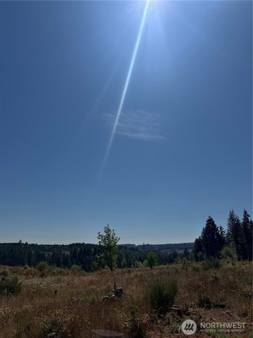 607 Brown Road, Adna, WA 98522