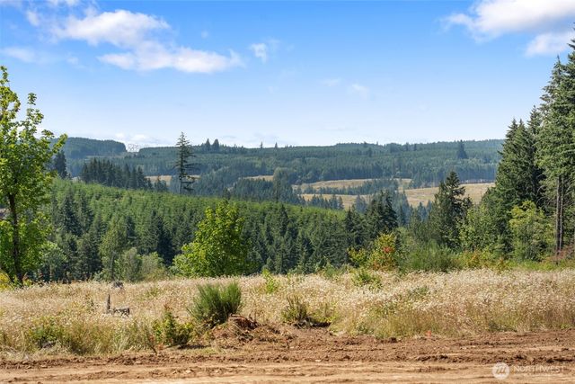 607 Brown Road, Adna, WA 98522