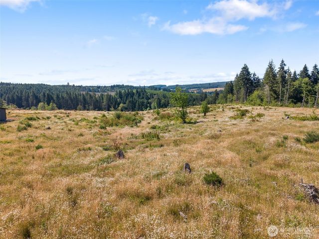 607 Brown Road, Adna, WA 98522